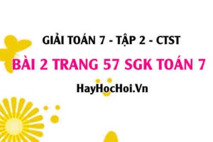 Giải bài 2 trang 57 Toán 7 tập 2 SGK Chân trời sáng tạo